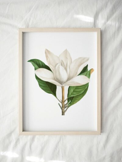 Print - Symbolism 27