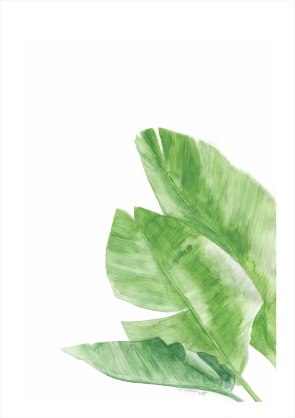 Print - Banana Art - Image 2