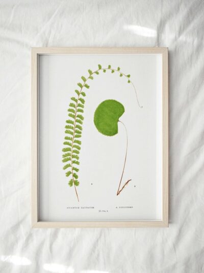 Print - Gathering Green 1