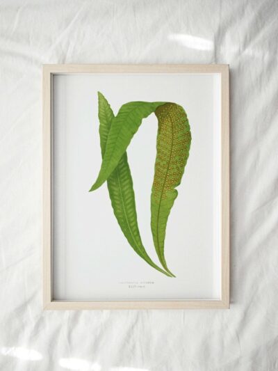Print - Gathering Green 10
