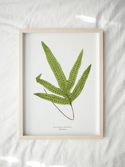 Print - Gathering Green 3
