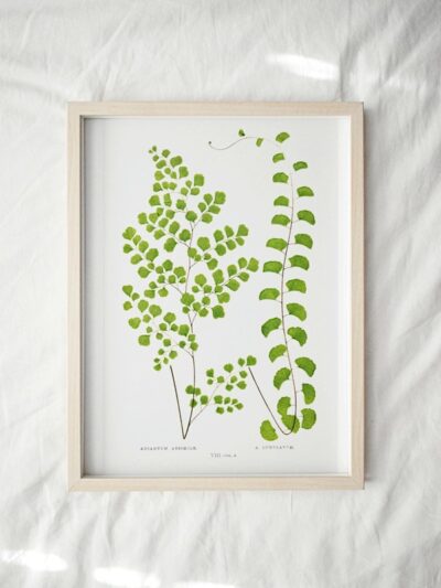 Print - Gathering Green 19