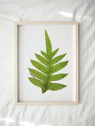 Print - Gathering Green 2