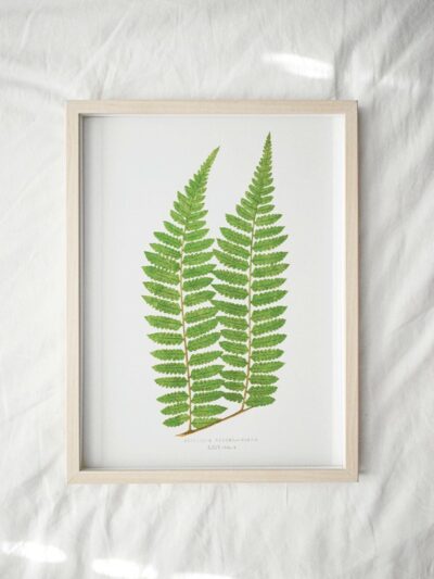 Print - Gathering Green 15