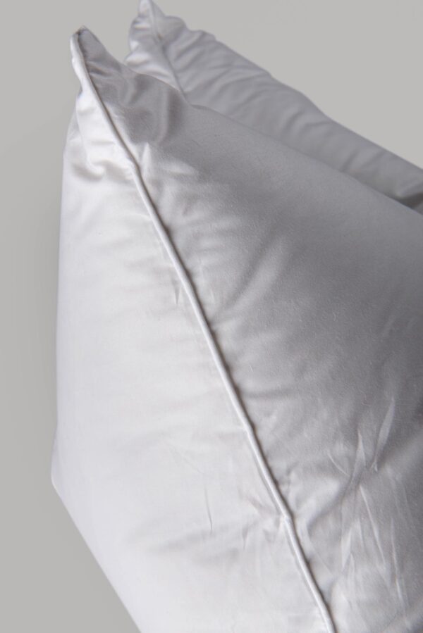 Pillow Three Chambers