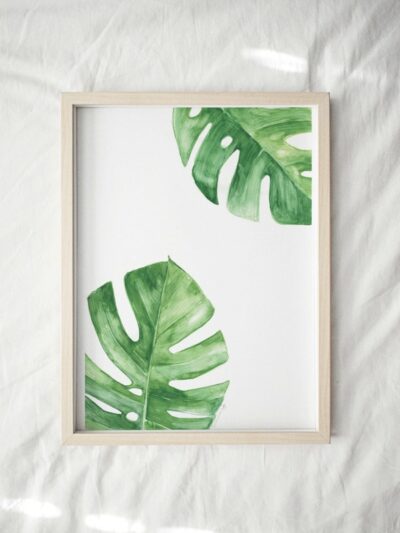 Print - Monstera 1