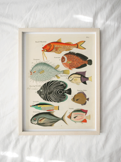 Print - Rock Pool 21