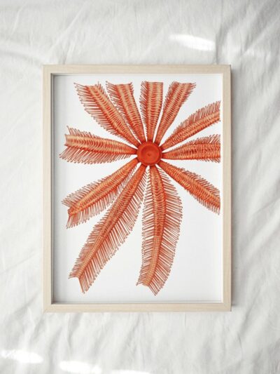 Print - Rock Pool 19