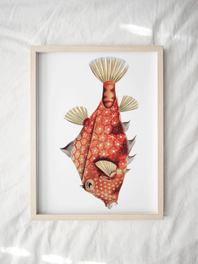 Print - Rock Pool 24