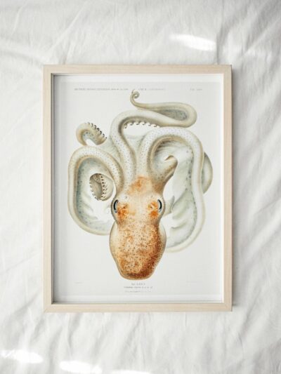 Print - Rock Pool 23