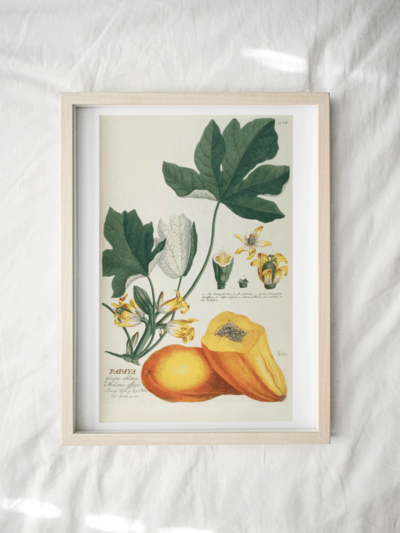Print - Tropical 13