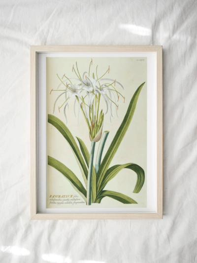 Print - Tropical 9