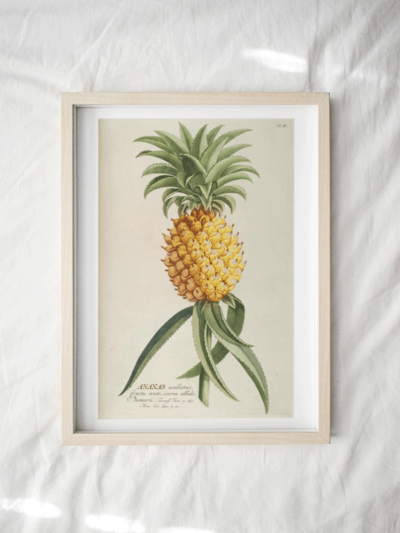 Print - Tropical 8