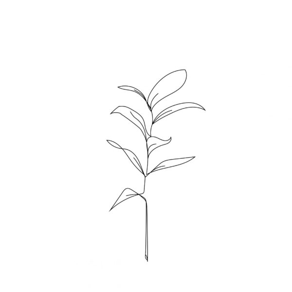 Print - Botanical 3 - Image 2