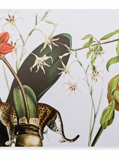 reuseable placemats natural history print design