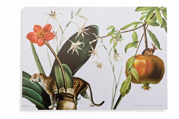 reuseable placemats natural history print design