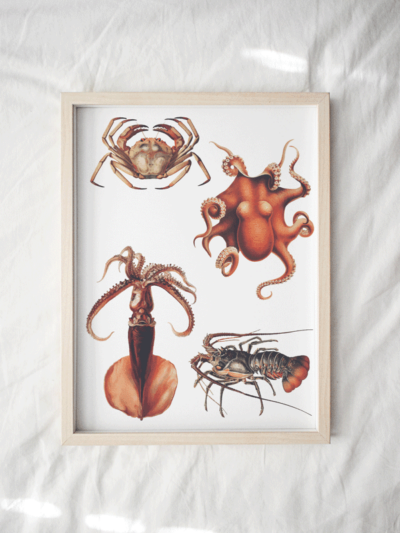 octopus print