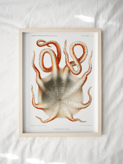 octopus print