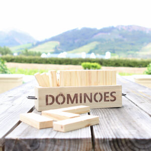 wooden dominoes game set