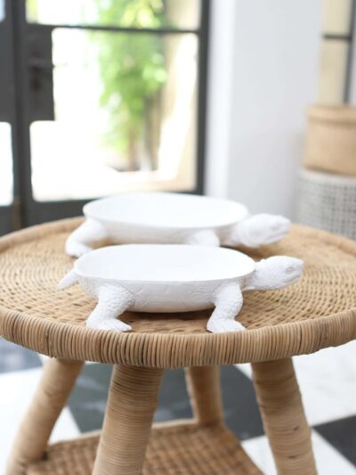 Turtle Platter Set Of Two