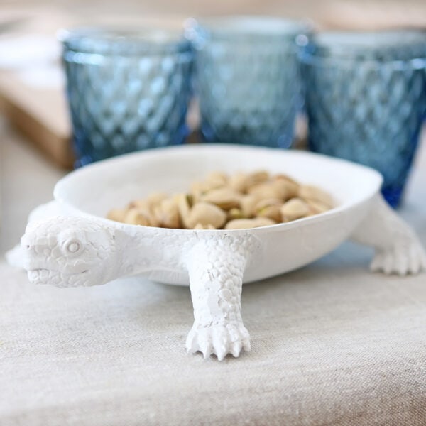 turtle platter