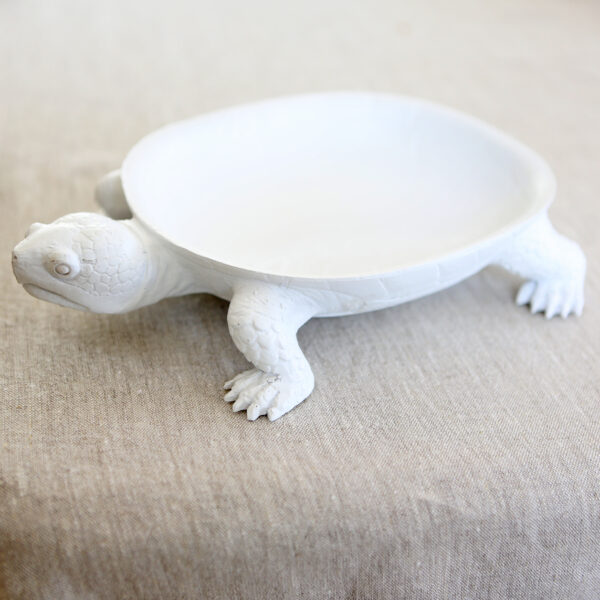 turtle platter