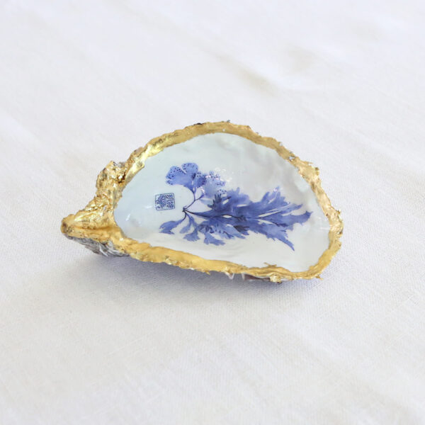 docorated oyster shell dish_plant