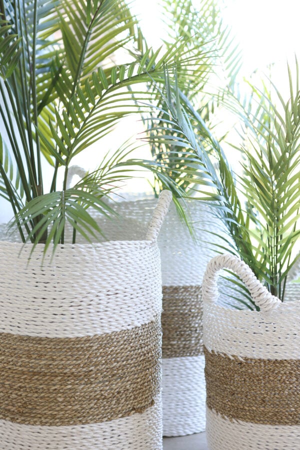 Plant in seagrass basket