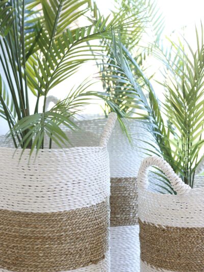 Plant in seagrass basket
