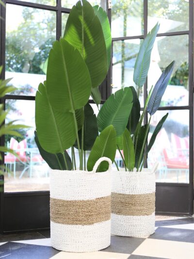 Plant in seagrass laundry basket
