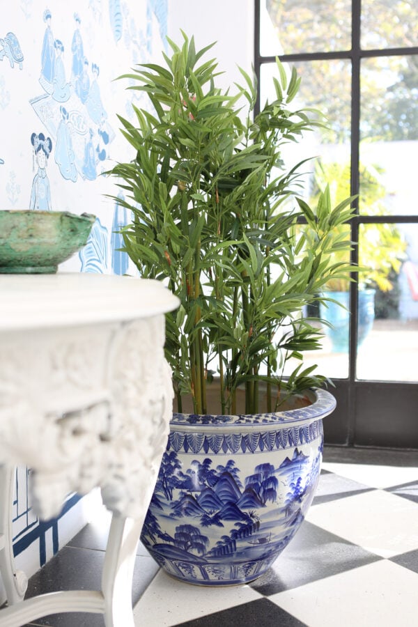 Plant in plantholder