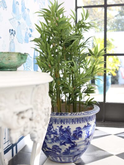 Plant in plantholder