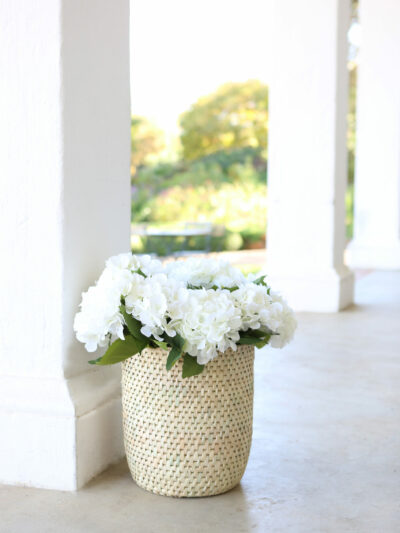 hydrangea in a basket