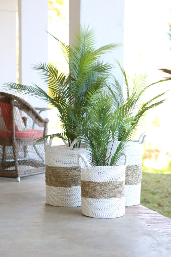 Plant in seagrass basket