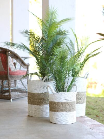 Plant in seagrass basket