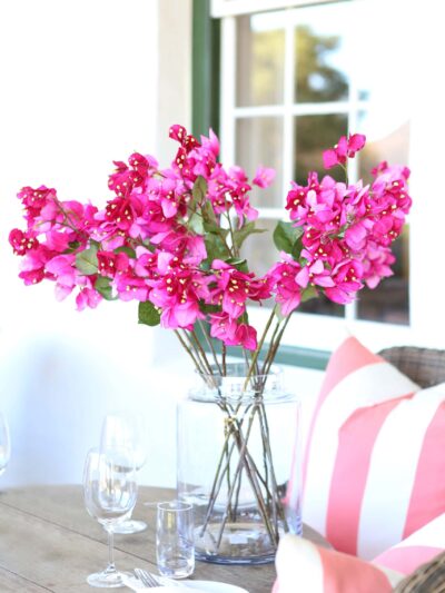 Plant in vase