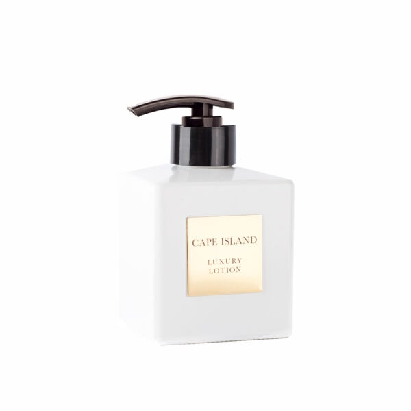 Liquid Soap in dispenser
