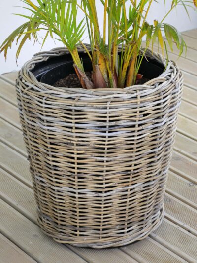 basket planter