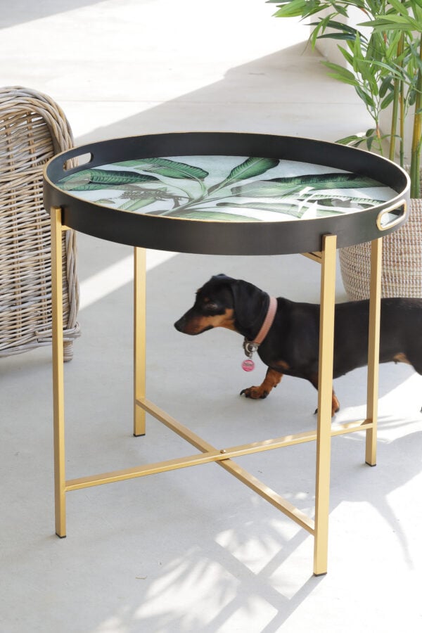 Palm coffee table