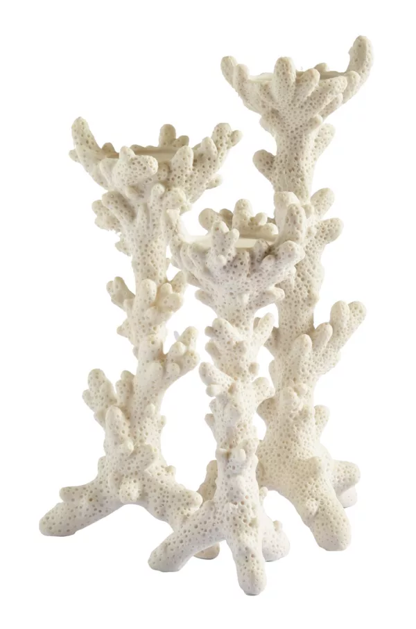 Coral candleholders