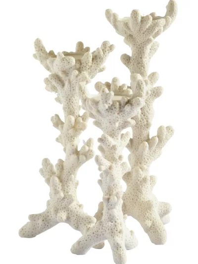 Coral candleholders