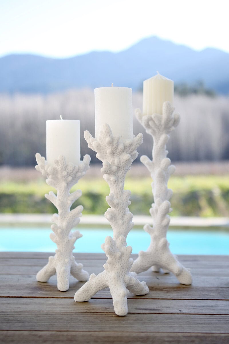Coral Candle Holders