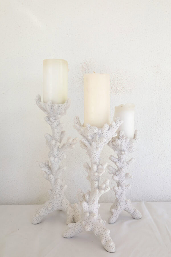 Coral Candle Holders - Image 3