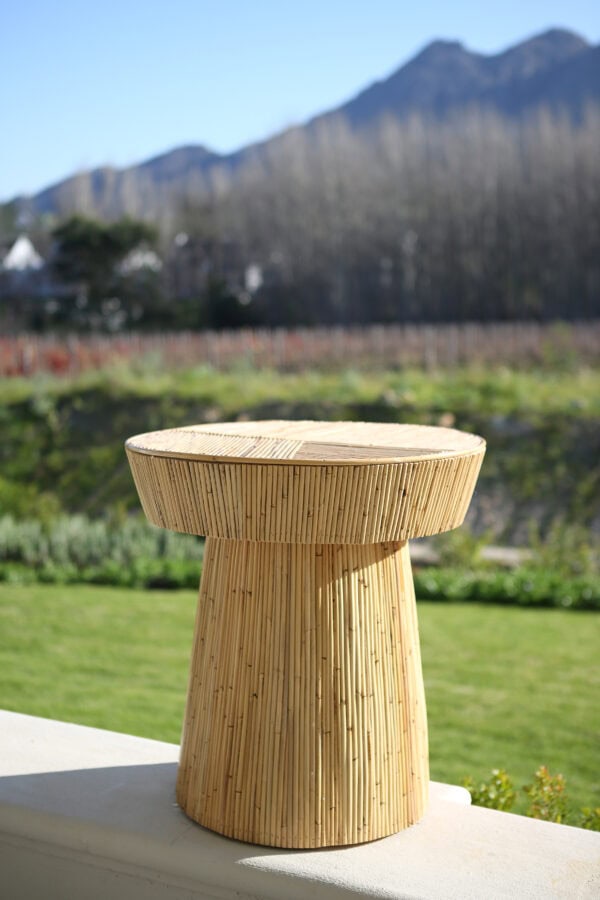 Laminas Rattan Table - Image 3