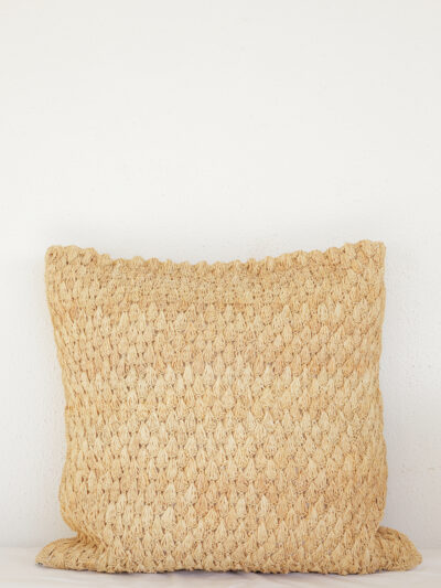 Crochet Pineapple cushion