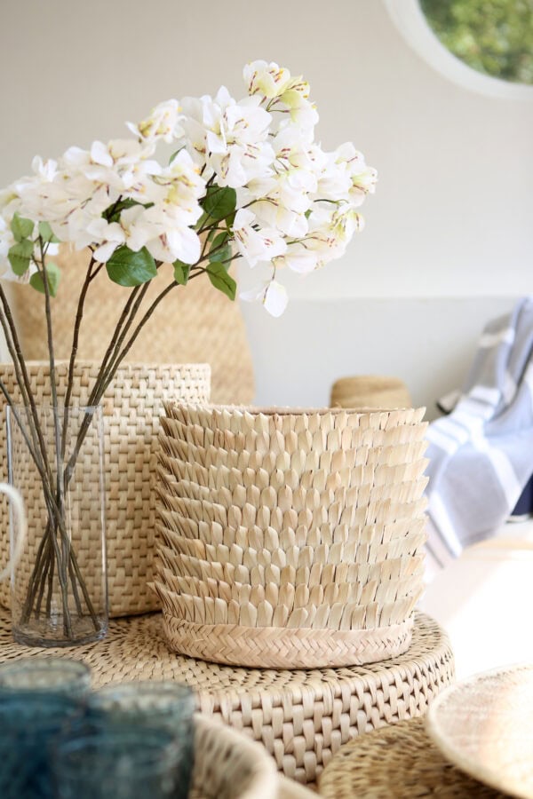 Bougainvillea Spray White - Image 2