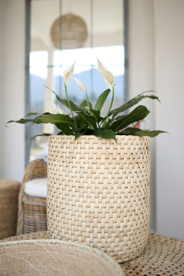 Umtsala Waste Paper Basket - Image 4