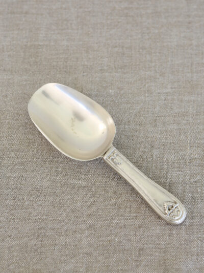 Ice Scoop