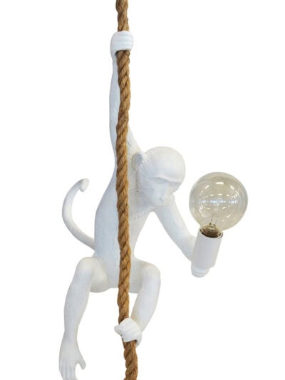 Monkey Rope Light