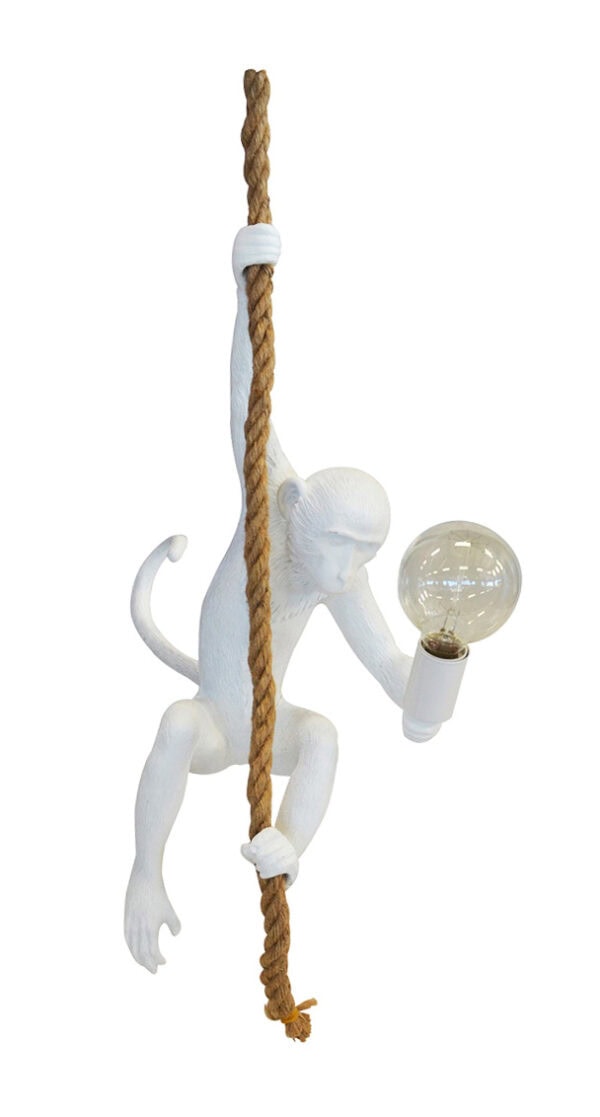 Monkey Rope Light